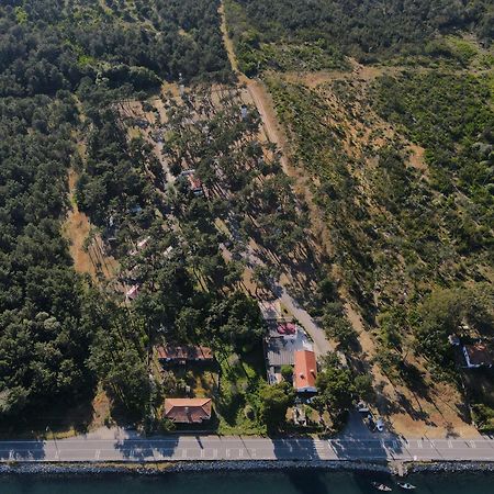 Parque De Campismo Orbitur Sao Jacinto Hotel ภายนอก รูปภาพ